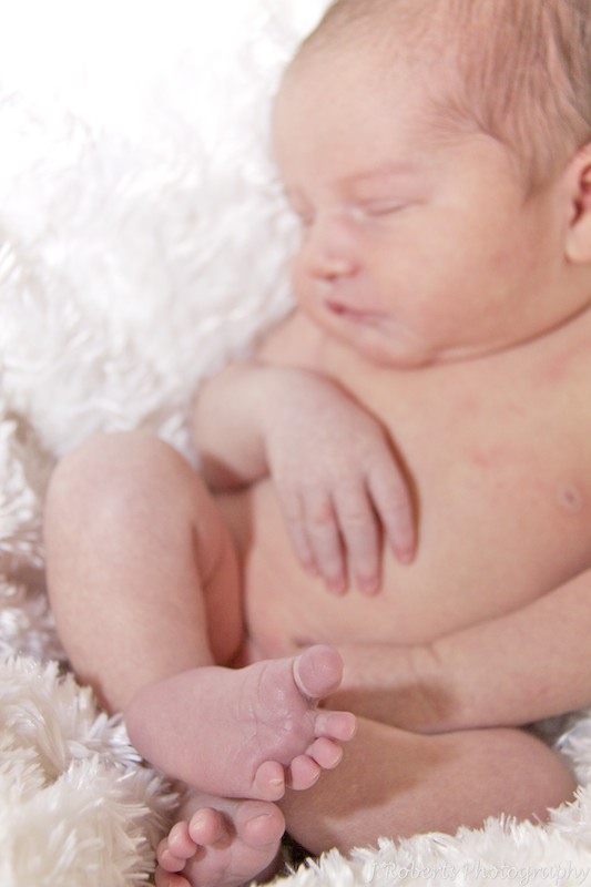 Newborn baby curled up in basket - newborn portrait photography sydney